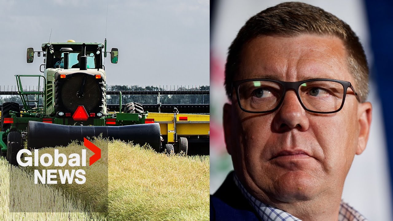 Saskatchewan's canola farmers anxious for tariff relief as trade talks with China continue