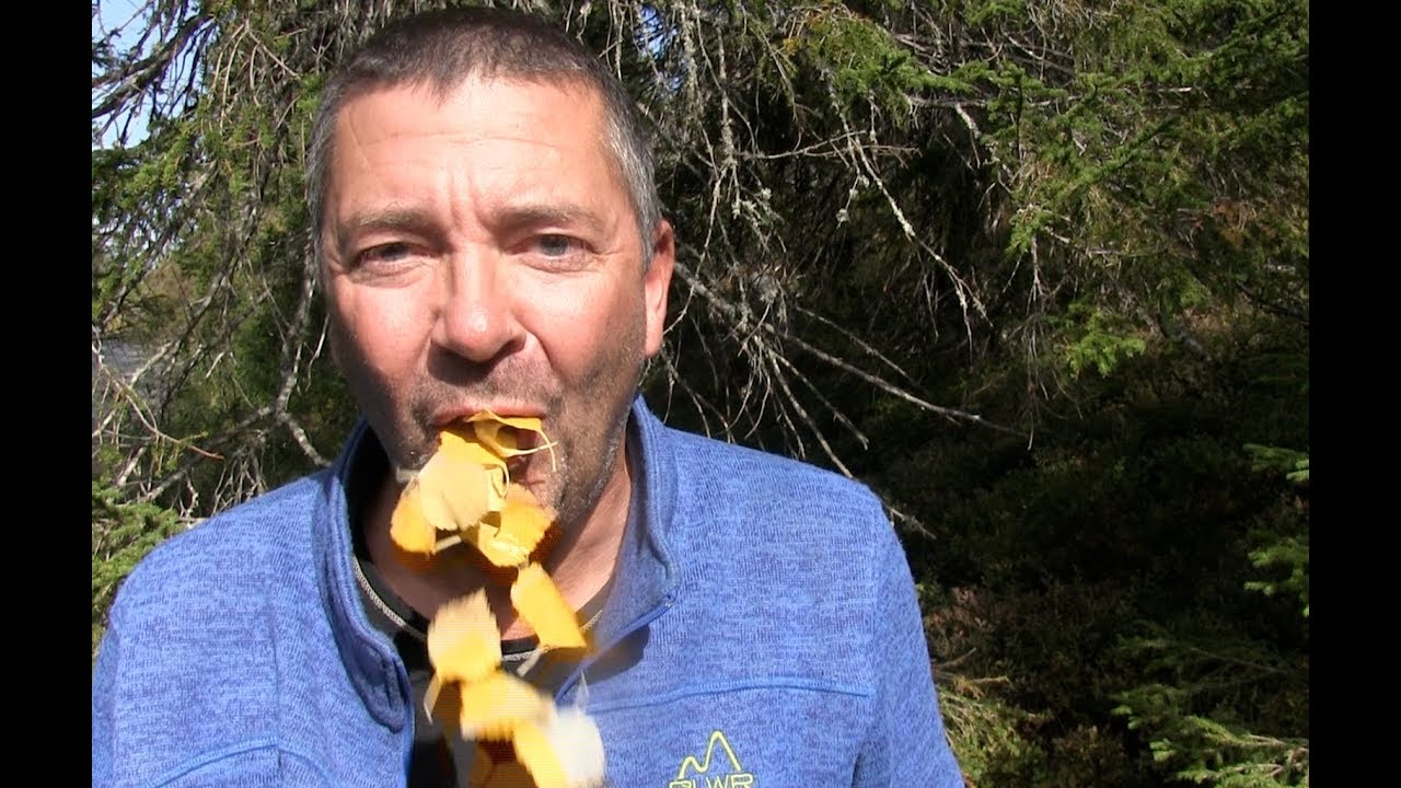 Trip to Little Cabin