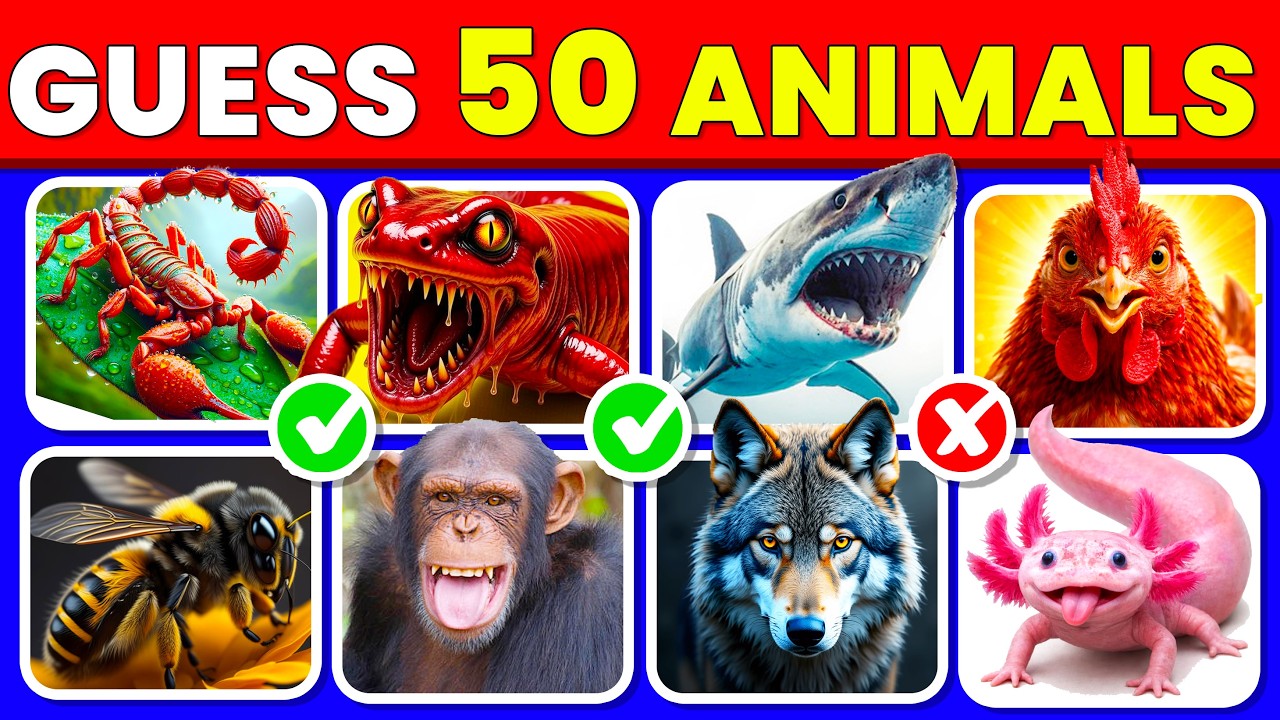 Guess 50 Animals in 3 Seconds 🐶🦁  Easy to  Impossible | 📚 School Quiz