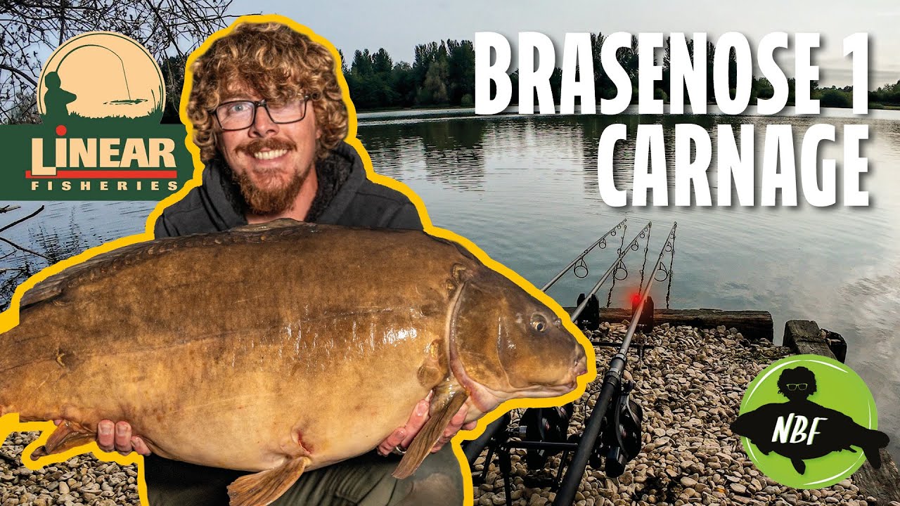 BRASENOSE 1 WENT OFF! 🔥 Carp Fishing Carnage at Linear Fisheries