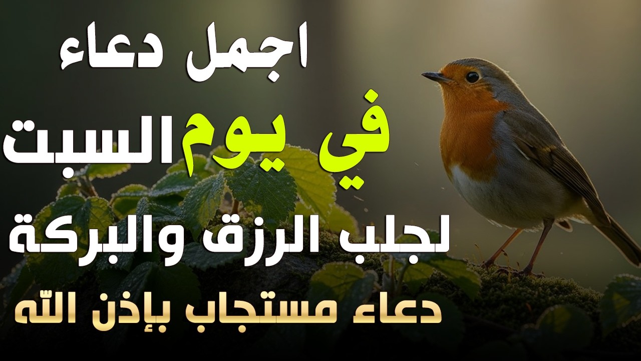 دعاء فى صباح يوم الاربعاء فرض الرزق وقضاء الدين وتفريج الهم وتيسير الأمور باذن الله