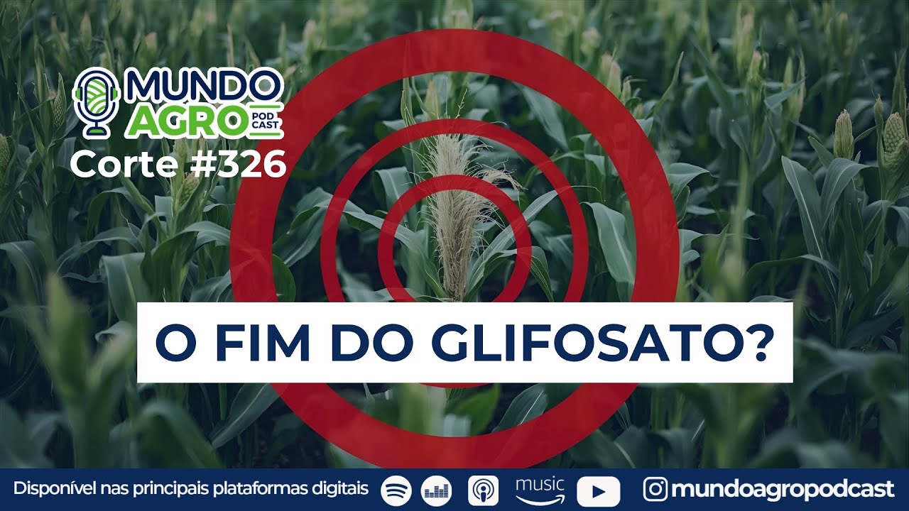 Milho Tiguera: Quando a cultura vira planta daninha 🌽🌿| Corte 326