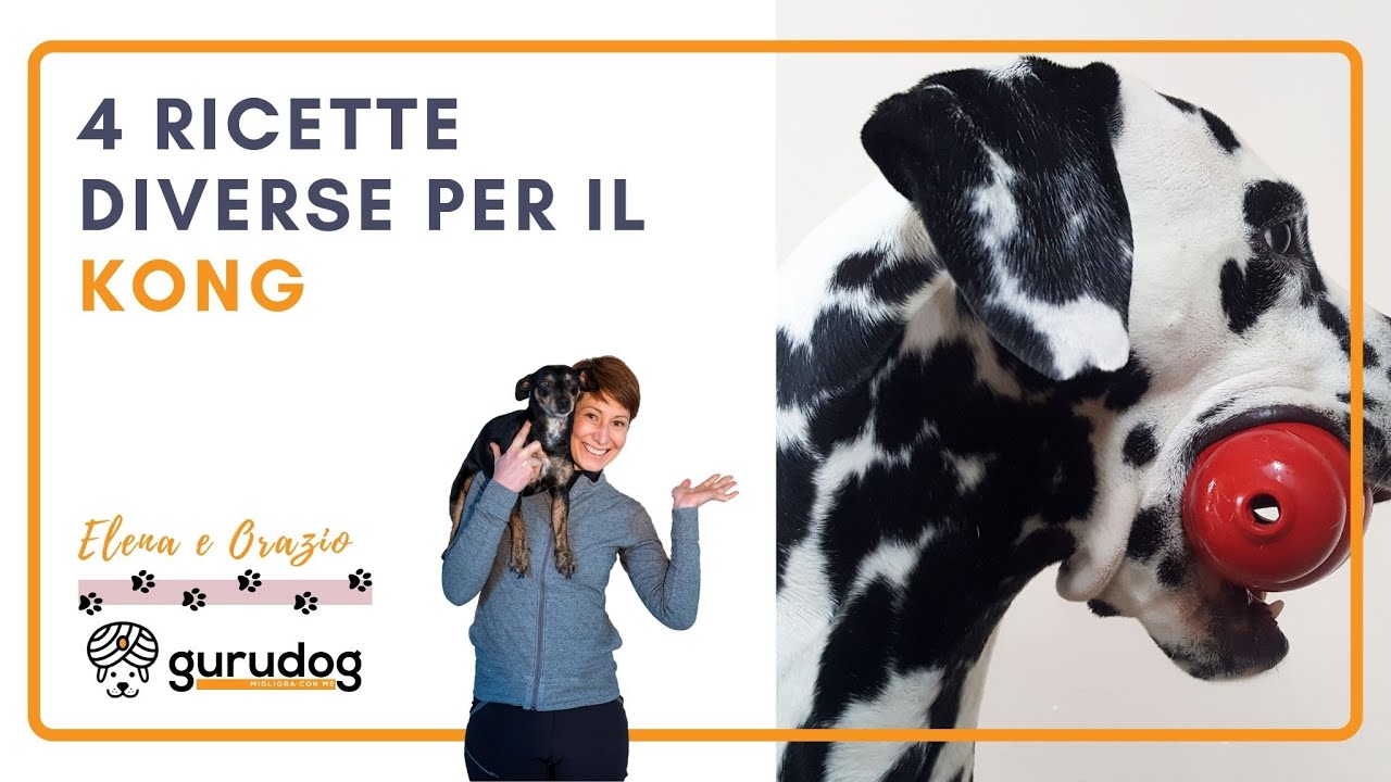 Kong cani come riempirlo: ecco 4 ricette diverse! - GuruDog educatore cinofilo