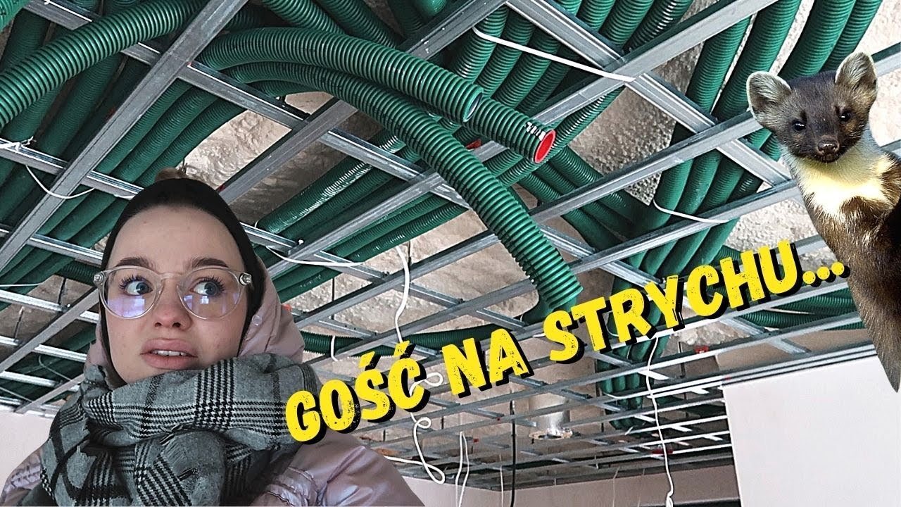 INSTALACJA REKUPERACJI W DOMU PARTEROWYM I KUNA LEŚNA NA PODDASZU