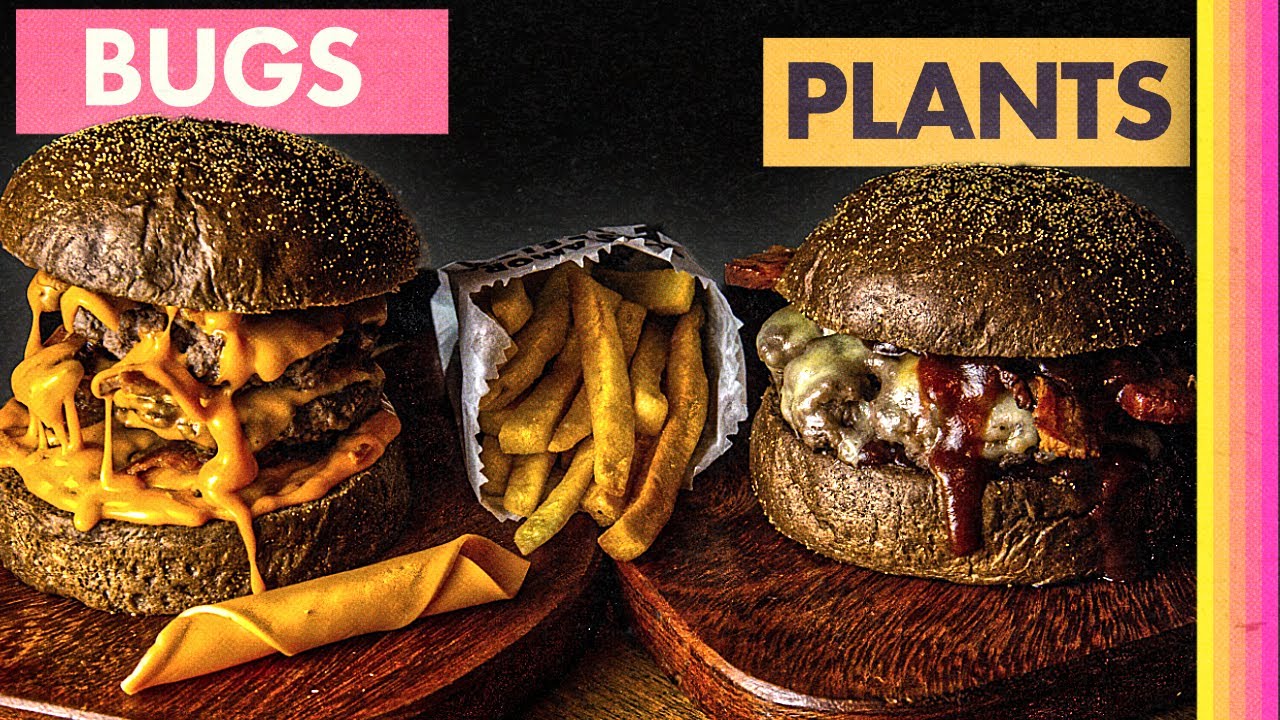 In 2050 Burgers Will be Made of Bugs (Part 3)