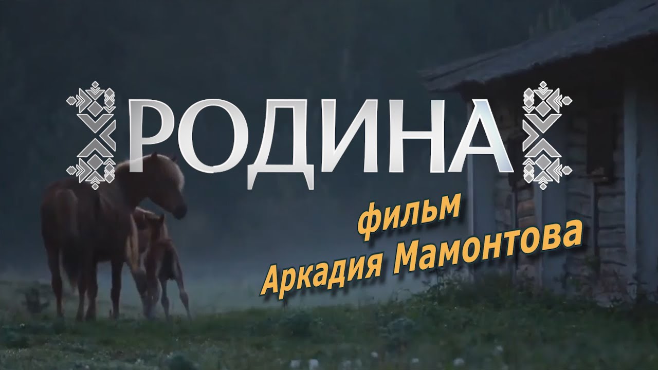 РОДИНА. Фильм-расследование Аркадия Мамонтова @amamontov