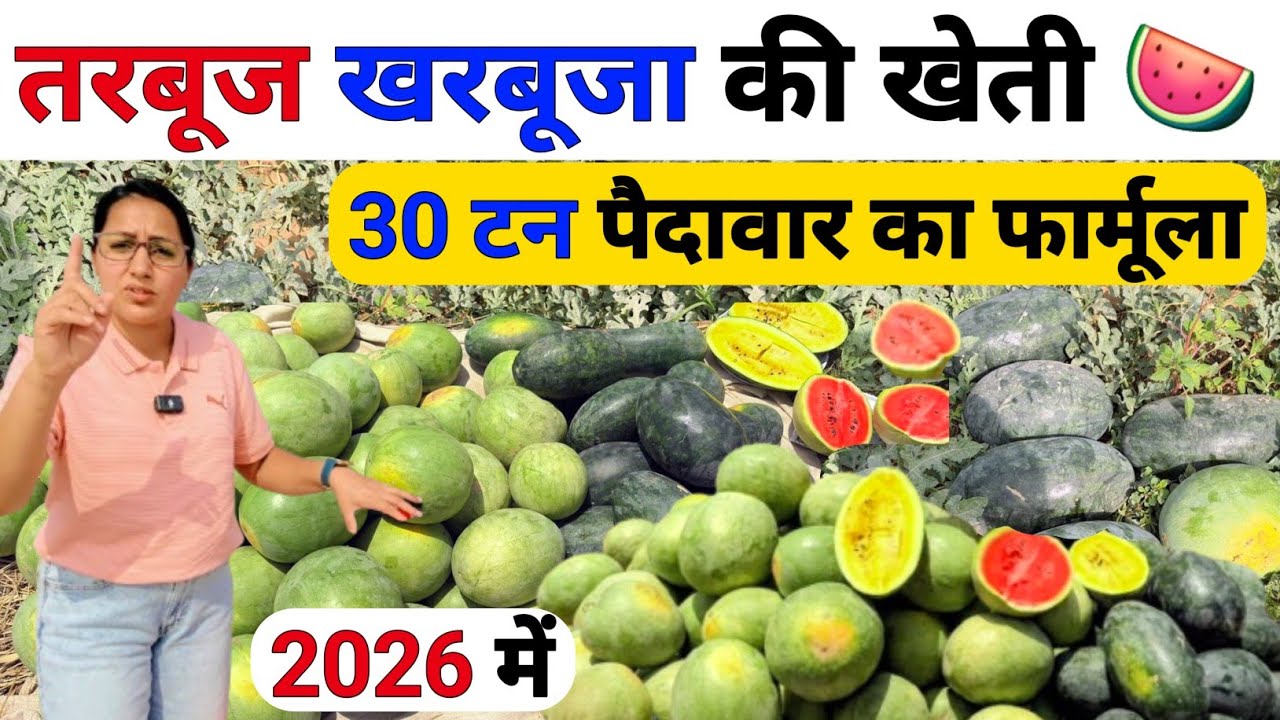 तरबूज खरबूजा की खेती 🍉 2026 | Tarbuj ki kheti ki puri jankari | Watermelon farming | Sabji ki kheti
