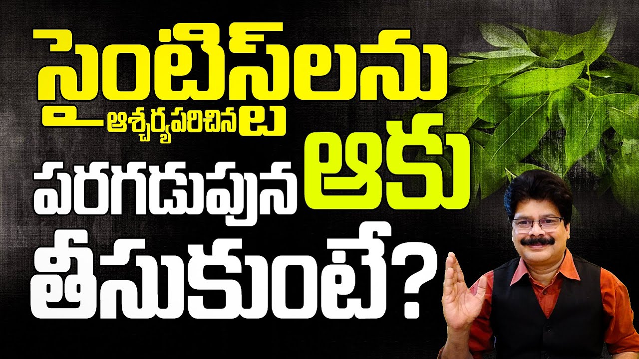 సైంటిస్ట్‌లను ఆశ్చర్యపరిచిన ఆకు| Amazing Powerful Benefits of Leaves