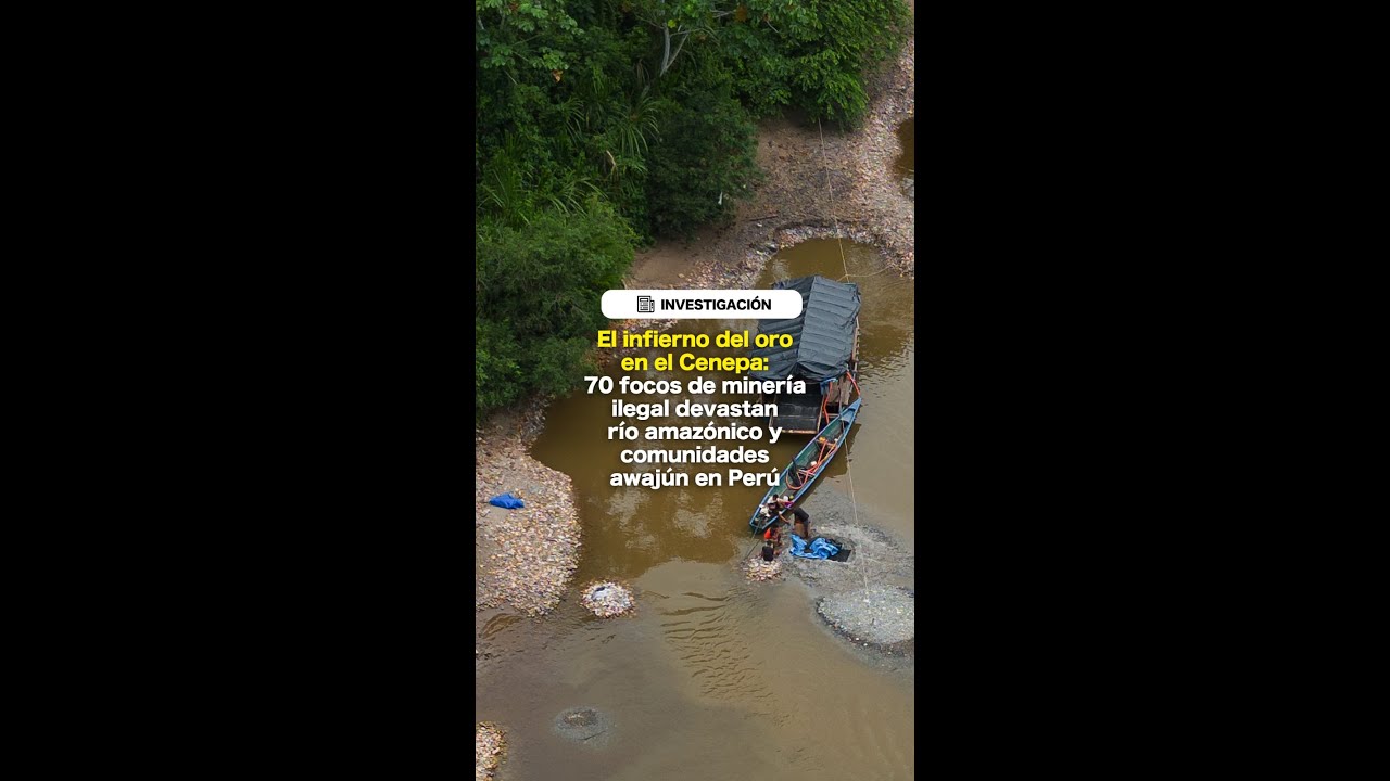 El infierno del oro en el Cenepa: 70 focos de minería ilegal devastan río amazónico en Perú