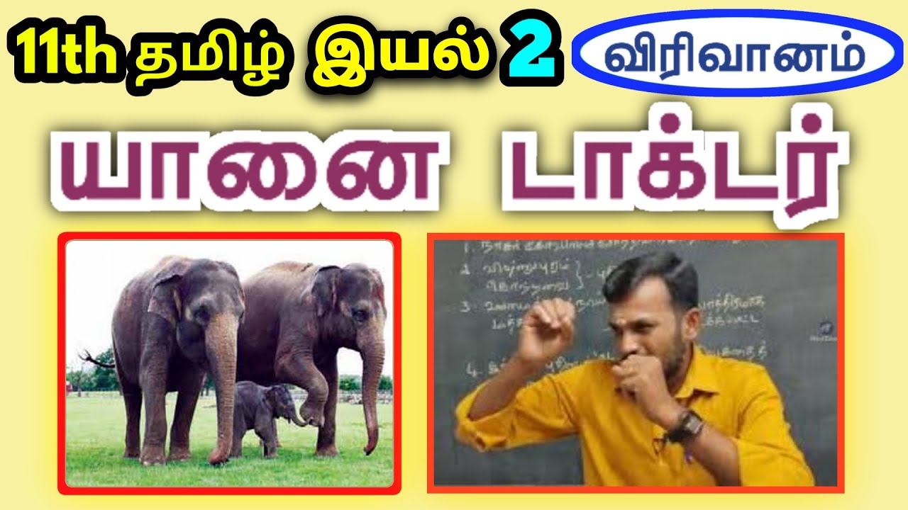 11th யானை டாக்டர் இயல் 2 துணைப் பாடம் | 11th Tamil Yaanai Doctor Unit 2 Thunaippatam | TN Syllabus |