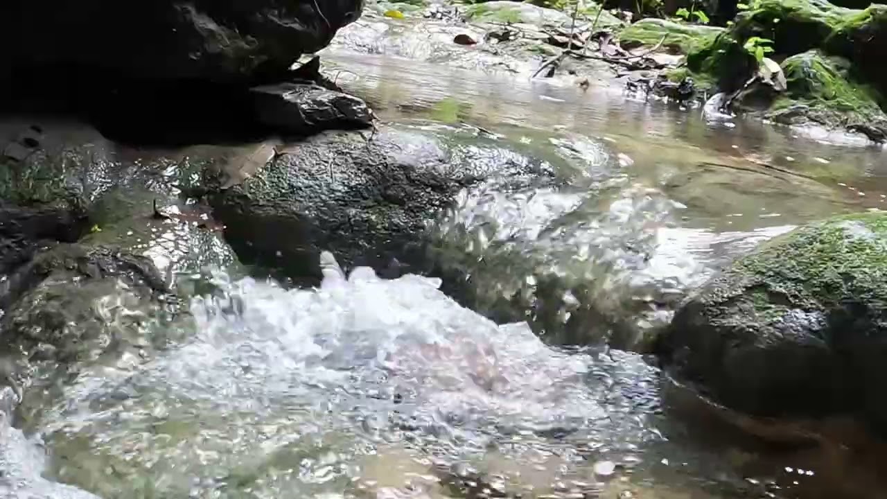 5 minutos de sonido relajante de agua fluyendo