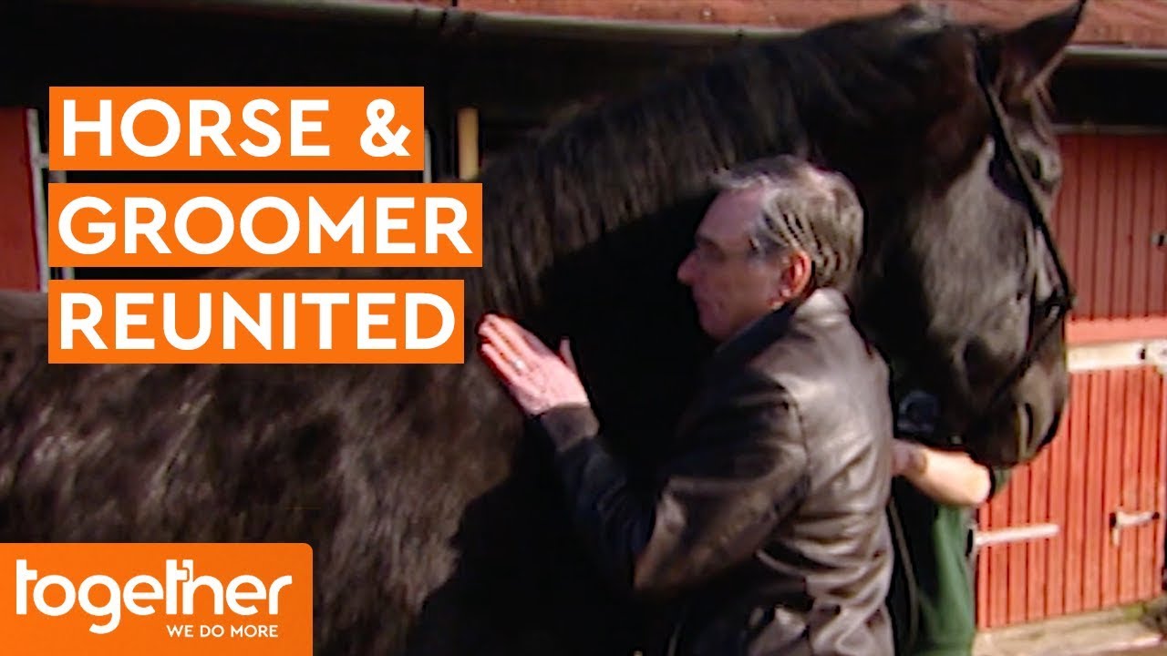 Retired Police Horse Reunited with Groomer | Mounted Branch