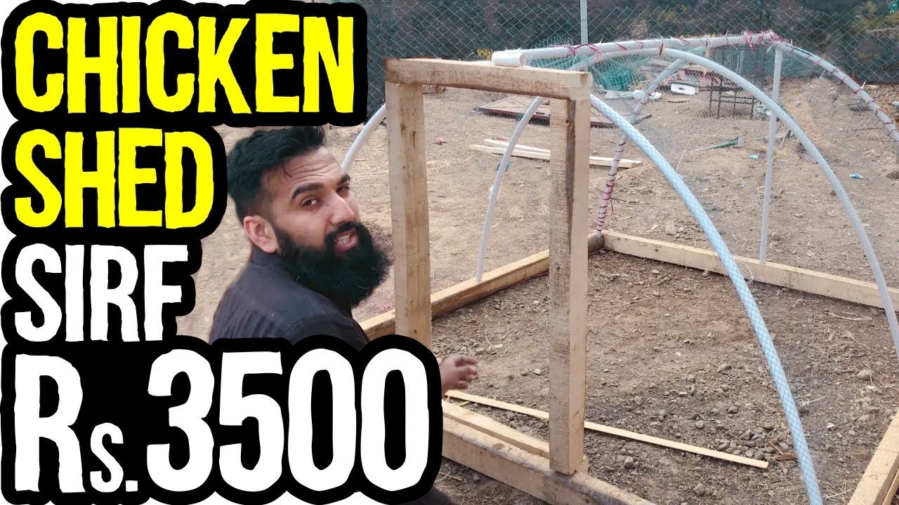 Rs.3500 Ka Chicken Shed for Chicken Farming In Pakistan  | Urdu Hindi Punjabi (BUSINESS IDEA)