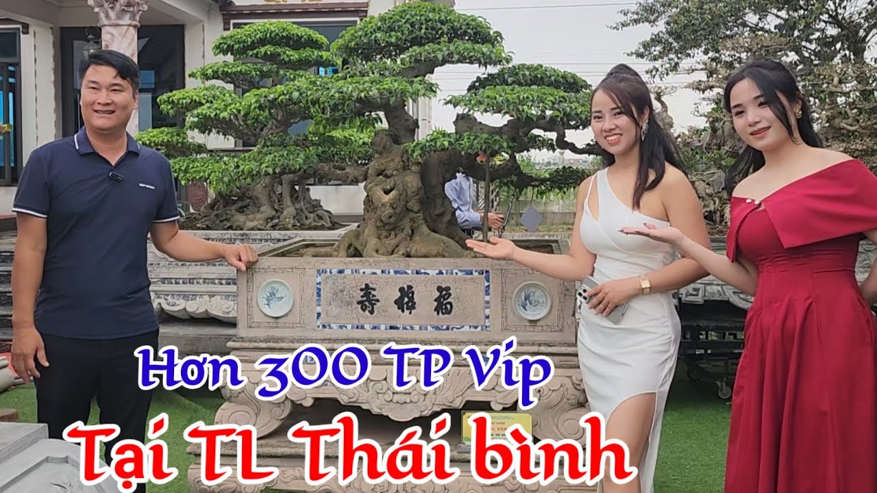 Hơn 300 TP siêu vip đã ổn định tại triển lãm CLB CCNT Thái bình * TC tại NV Thinh Trọc