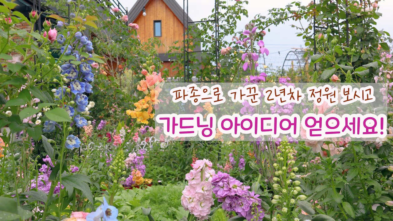 2 год садовый и садово-садочный стенд с семенами цветы сеяние Декоративная стеклянная теплица