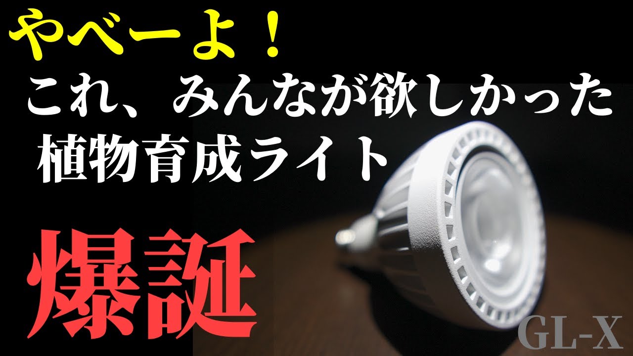 【コスパ最高】植物育成LEDライト「GL-X 6K」をレビュー！HaruDesignはるデザインの超おすすめ育成ライト！GL-Aとヘリオスグリーンとの比較も！アガベ塊根多肉ビカクシダ、アクアリウムにも