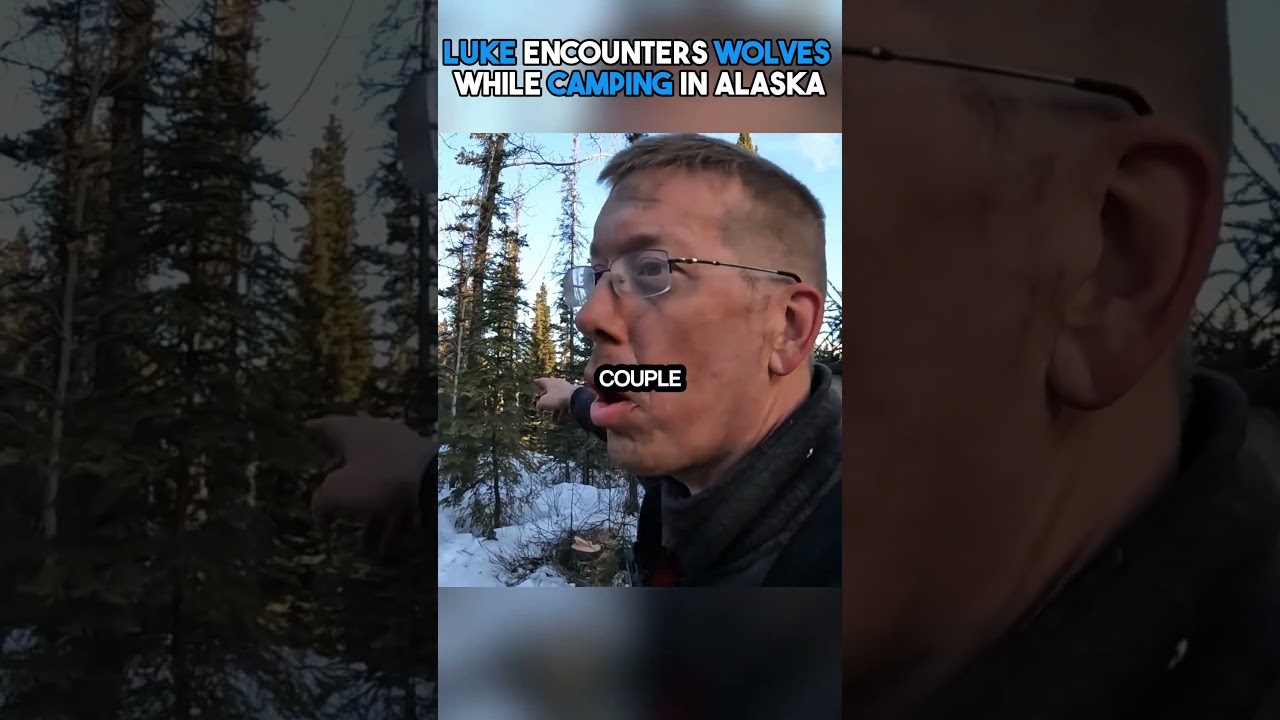 Люк встречает волков во время кемпинга #шорты #вирусный
