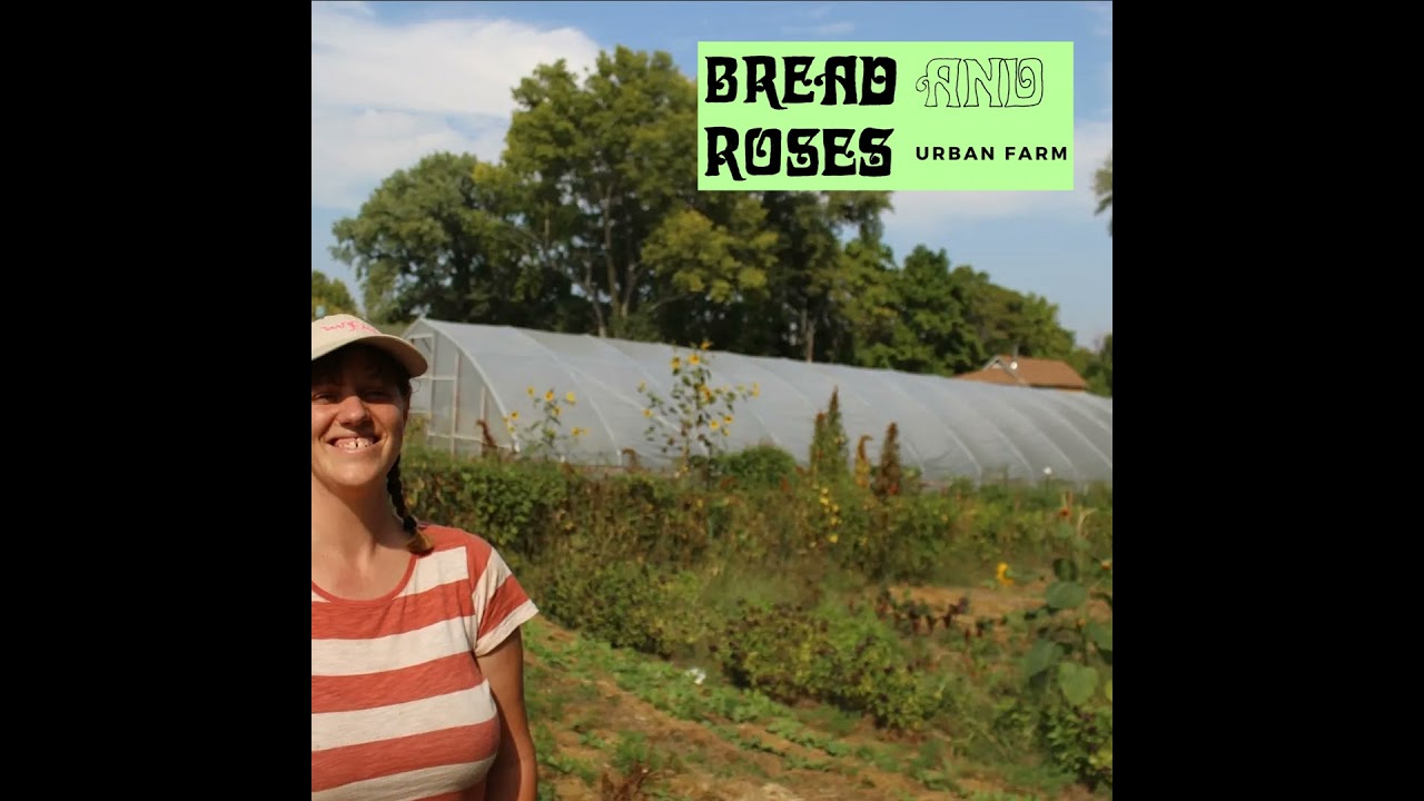 Bread and Roses Farm: Cultivating Community Through Uncertainty