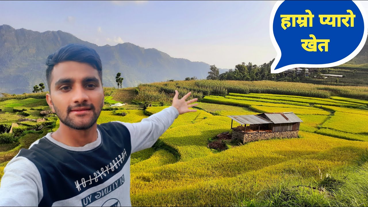 यस्तो छ हाम्रो पहाडको प्यारो खेत || Pahadi Lifestyle Vlog || Full Vlog KHET || Rasuwa