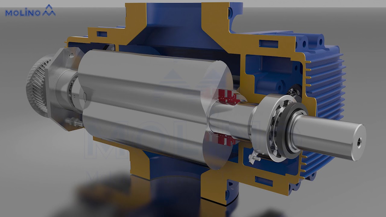 Molino Blower Animation English V.001 - Roots Pumps