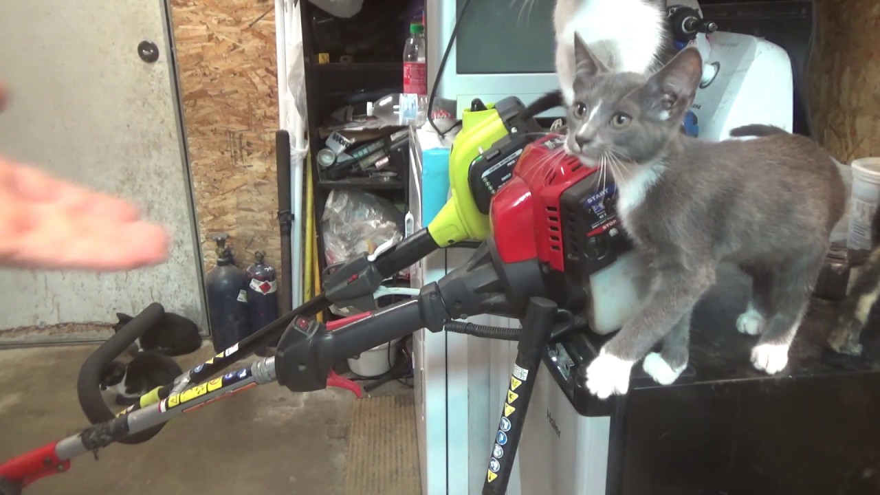 2 stroke vs 4 stroke weed eater the good the bad and the ugly