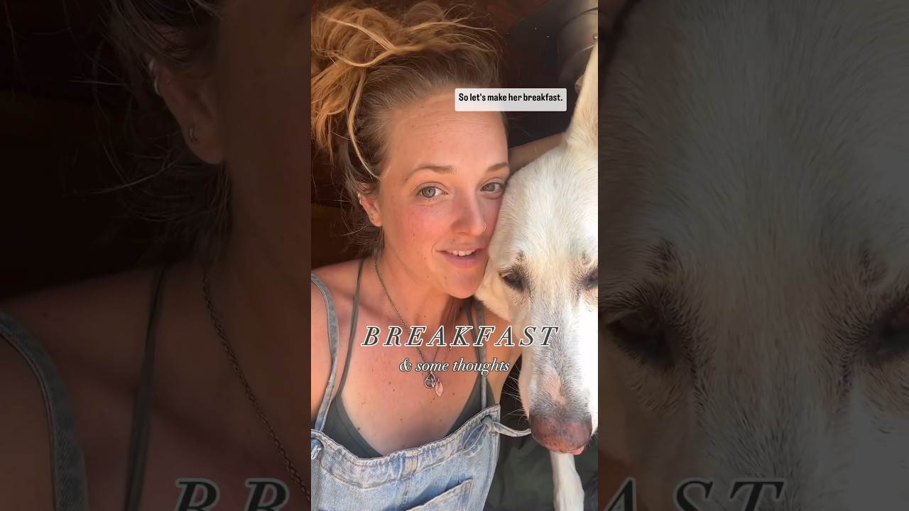 Van Life Dog living the BEST life 🌄 