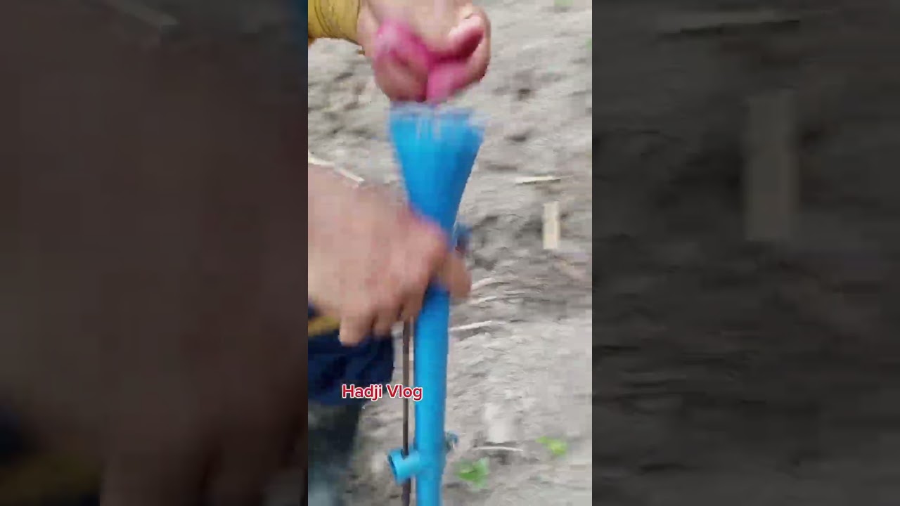 magtanim ng mais gamit ang pvc pipe ♥️