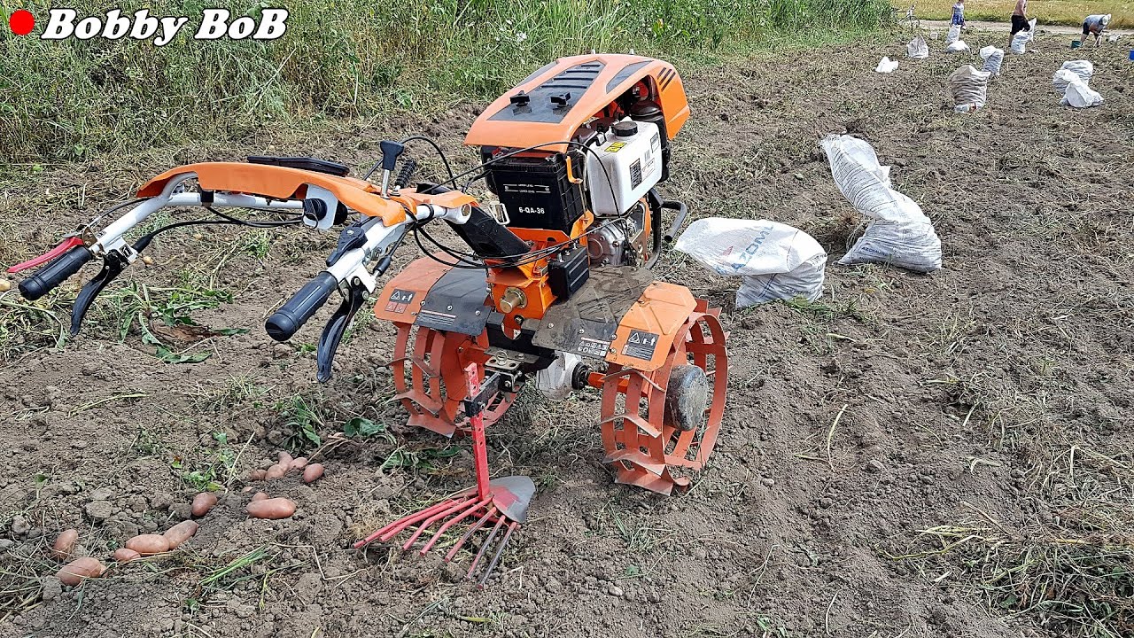 La scos cartofi cu motosapa Ruris 1001 Ksd
