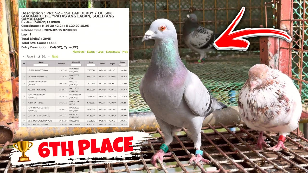 🏆RANK 6 OVERALL TAYO SA 1ST LAP DERBY RACE NG PRC NORTH RACE 2026