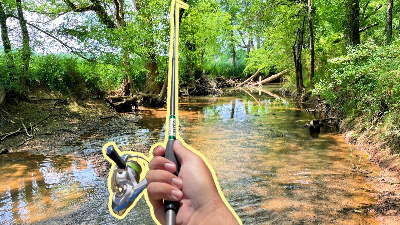 Bluegill Fishing in Tiny Creek (New Lures)