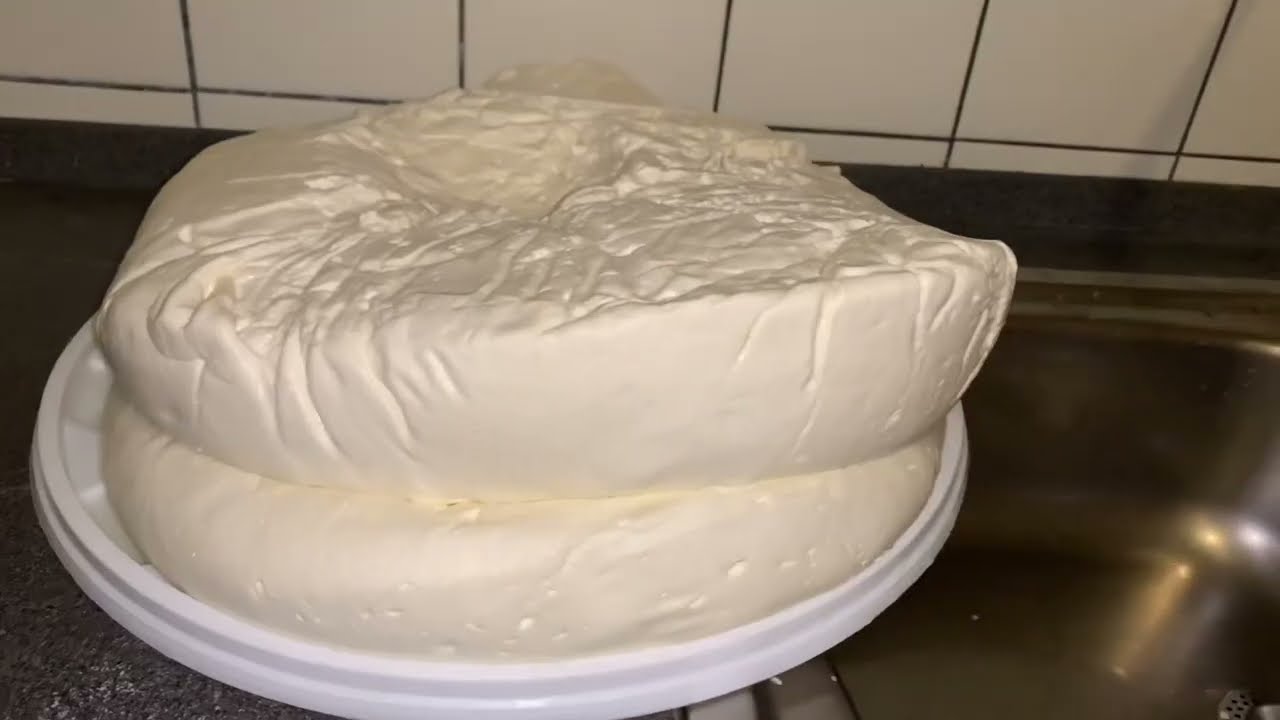  Çiftlikte süt aldık peynir ve yoğurt yaptık 