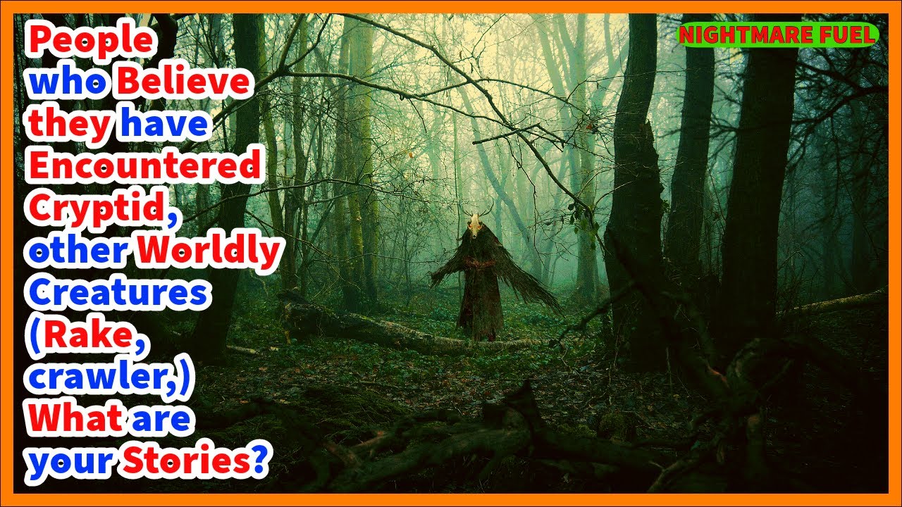 People who believe they have encountered a cryptid, other worldly creatures. what are your stories?