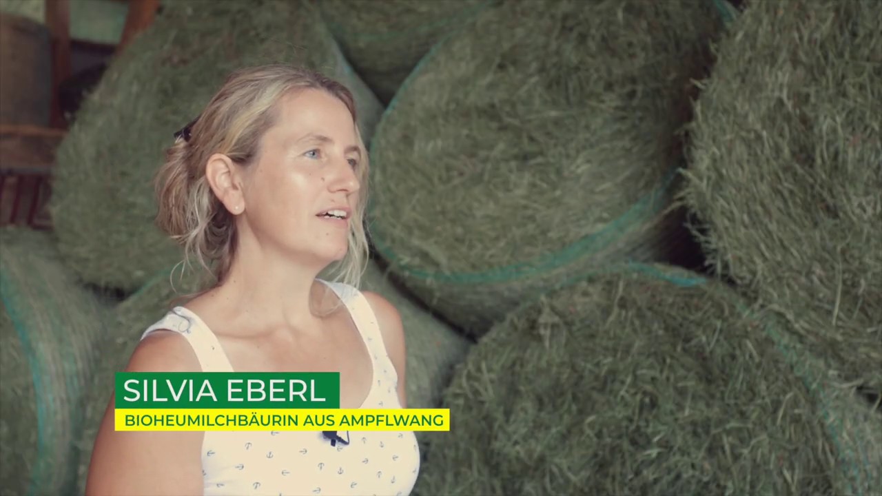 Umgestellt auf Bio-Heumilch innerhalb von 3 Monaten