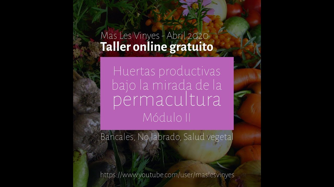 Curso huerto ecológico: No labrado, bancales, plagas y hongos - mód.2