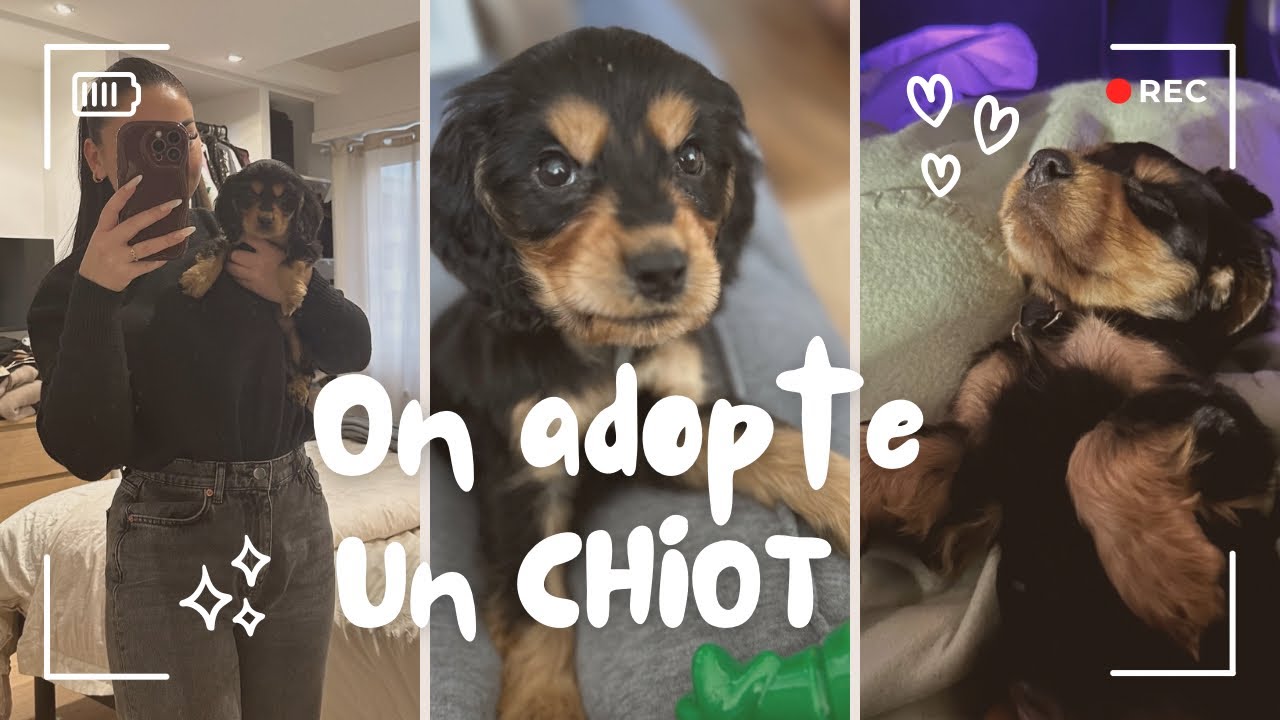 ON ADOPTE UN CHIEN | NOUS SOMMES PARENTS 🐶