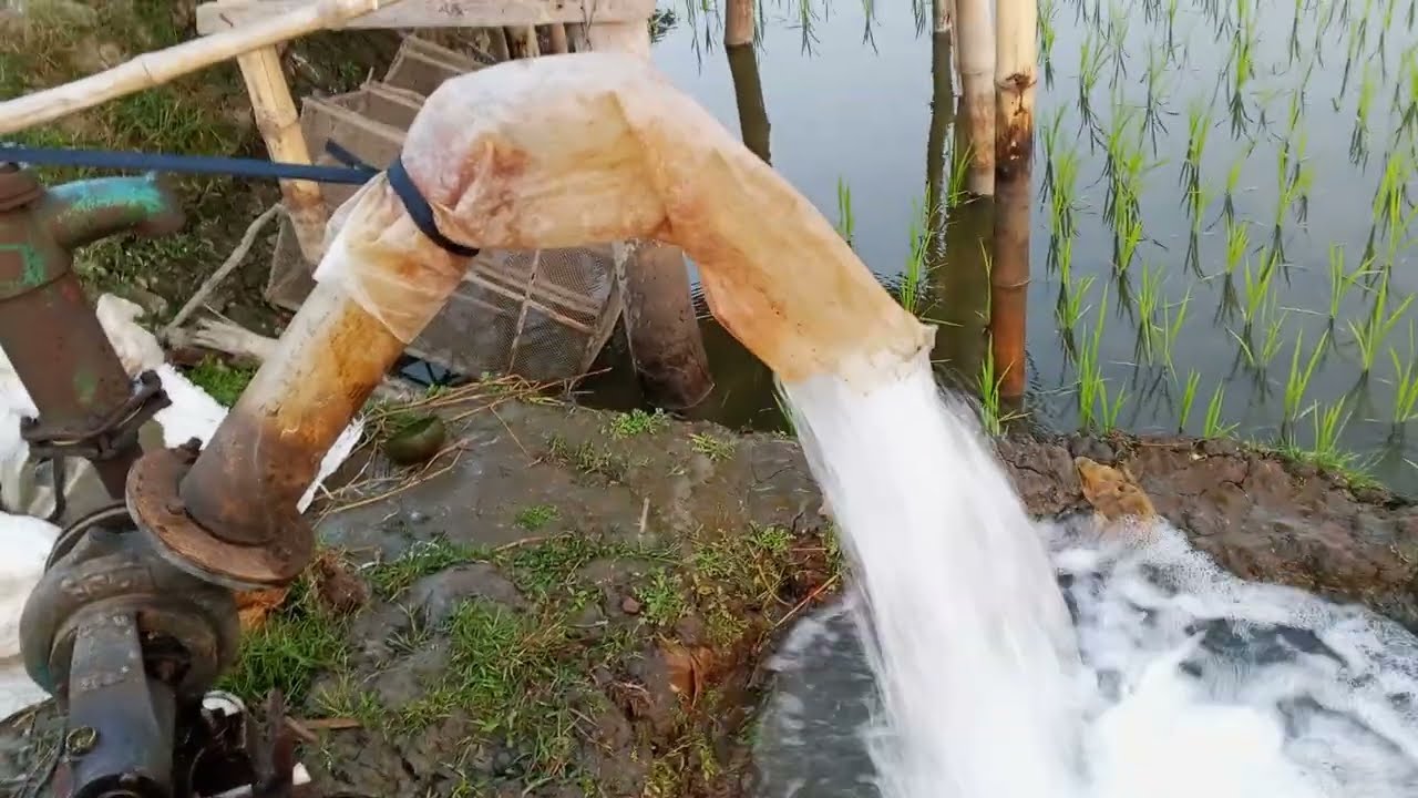 Amazing system in Bangladesh|| Ratan Roy Vlogs 