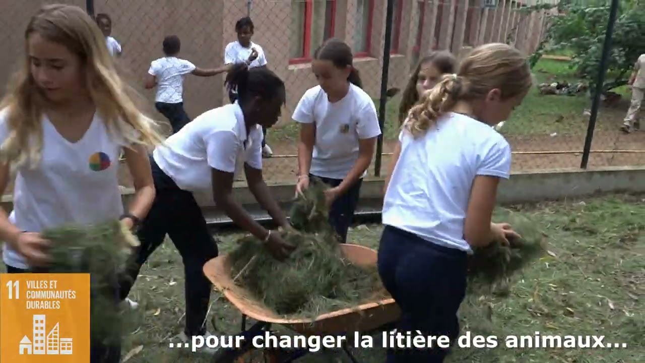 FERME ECOL'CITOYENNE - Lycée français Blaise Pascal, Abidjan - Côte d'Ivoire