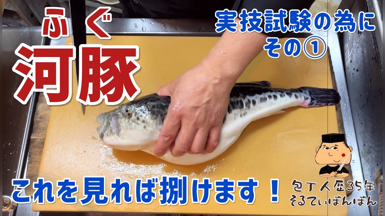 #154【ふぐの捌き方 】【実技試験の為にその①】【京都有次の筋引き包丁でさばく】
