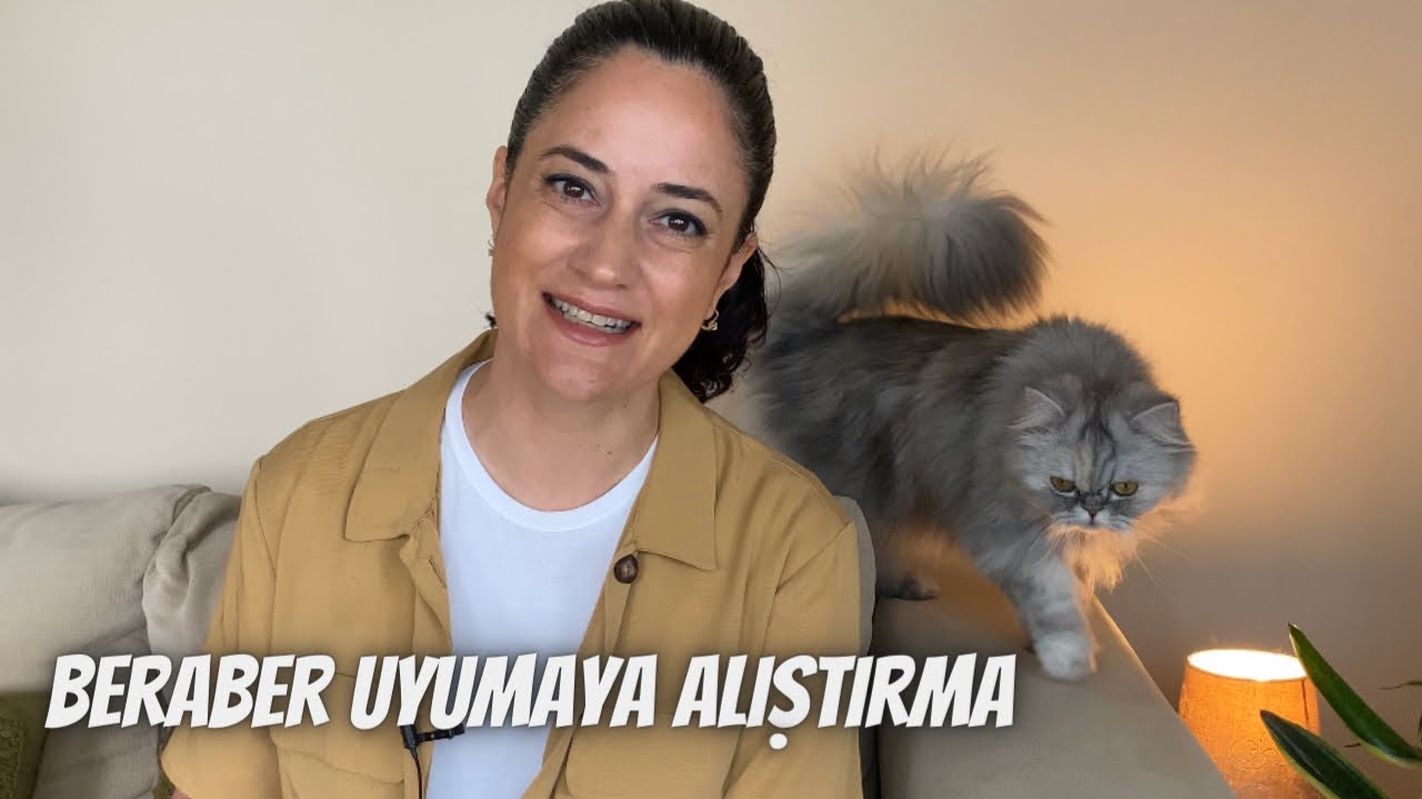 Kedinizi sizinle uyumaya nasıl alıştırırsınız⁉️