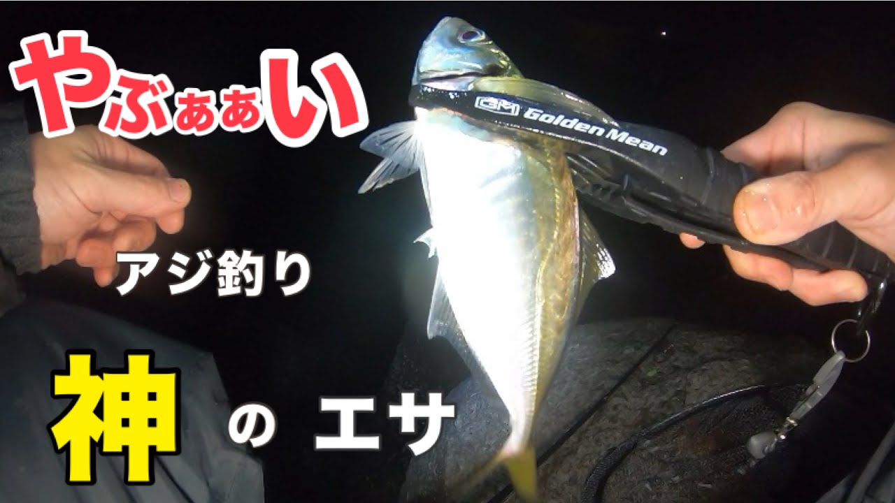 【和歌山県雑賀崎付近】検証アジ釣りの神エサ