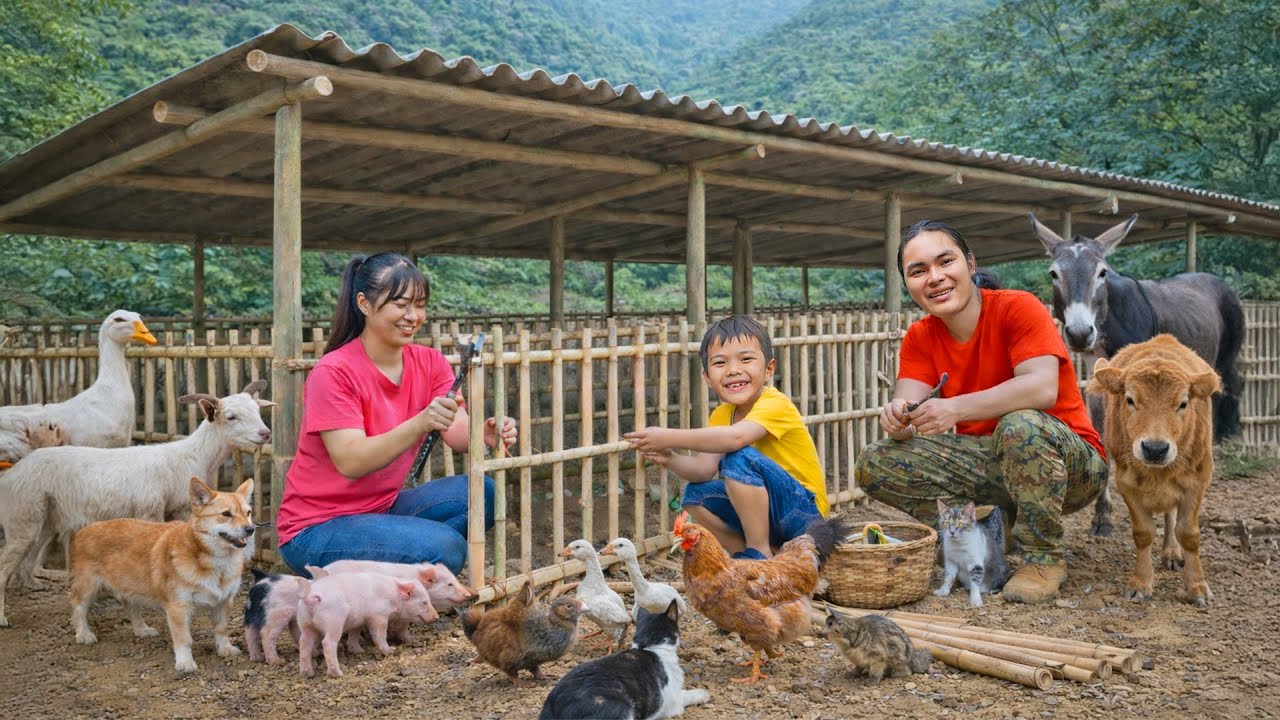 The Process of Building a Bamboo House for the Animals - Life in the Forest | SURVIVAL ALONE