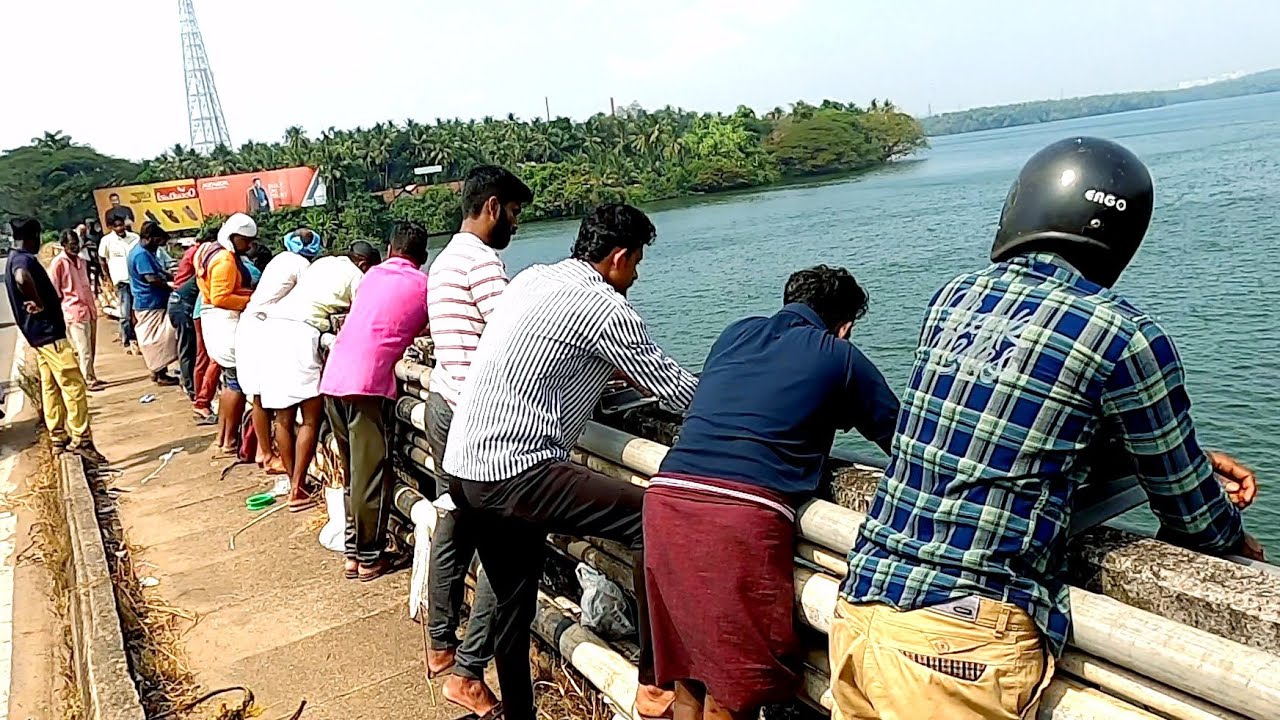 തളമീനിന്റെ ചാകര വന്നേയ്🎣വന്നവർക്കെല്ലാം മീൻ ചാകര🔥Village Fishing,Traditional Fishing, KeralaFishing