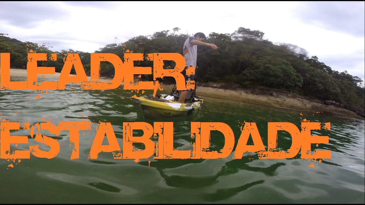 LEADER - estabilidade absurda !!!!
