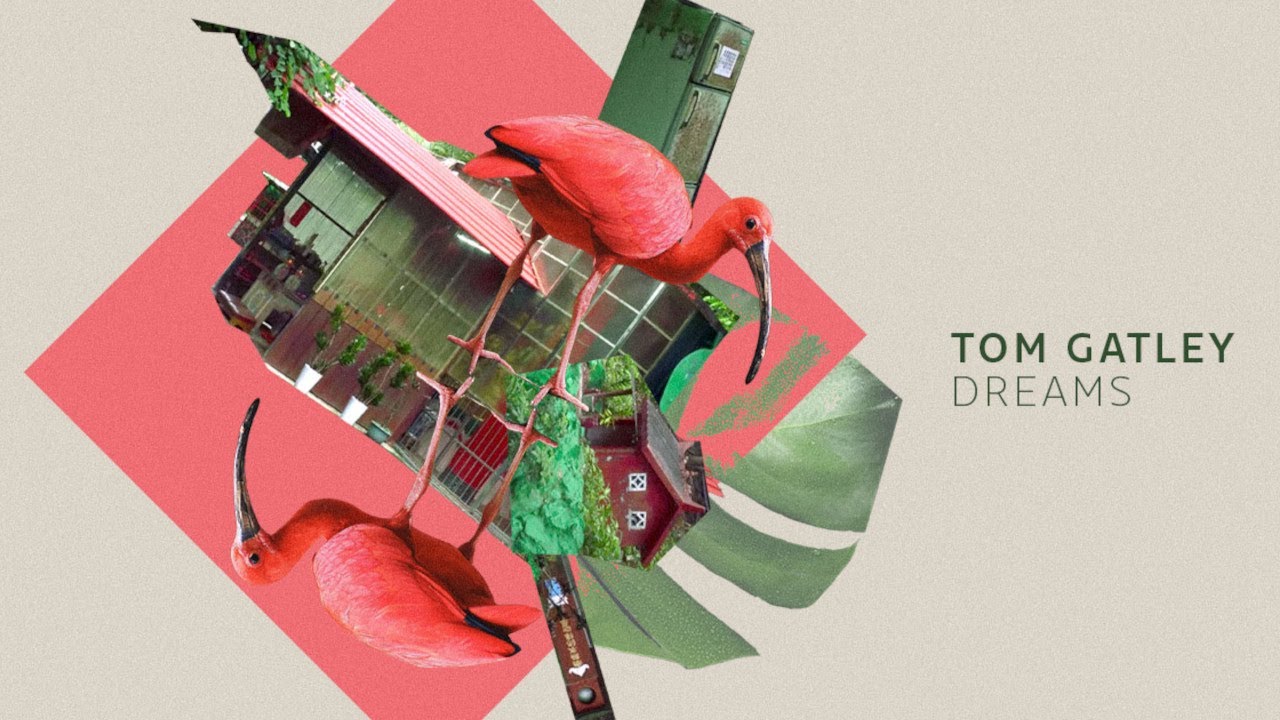 Tom Gatley - Dreams