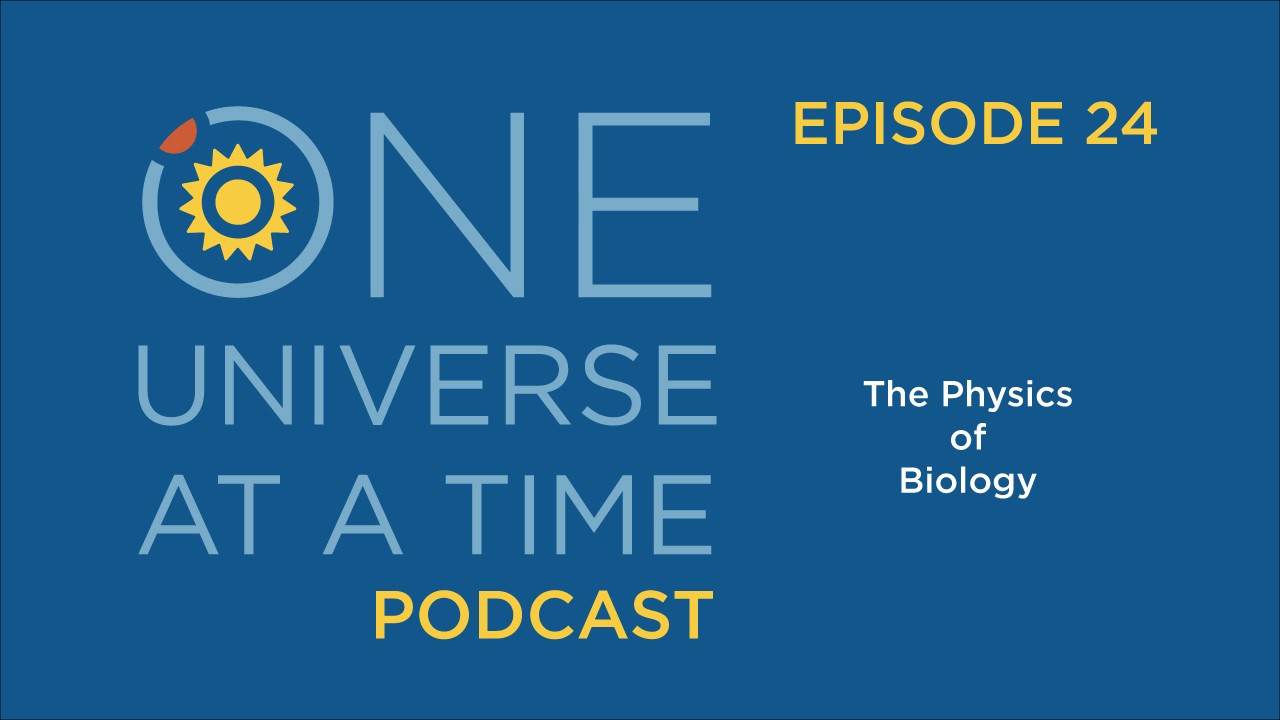 The Physics of Biology