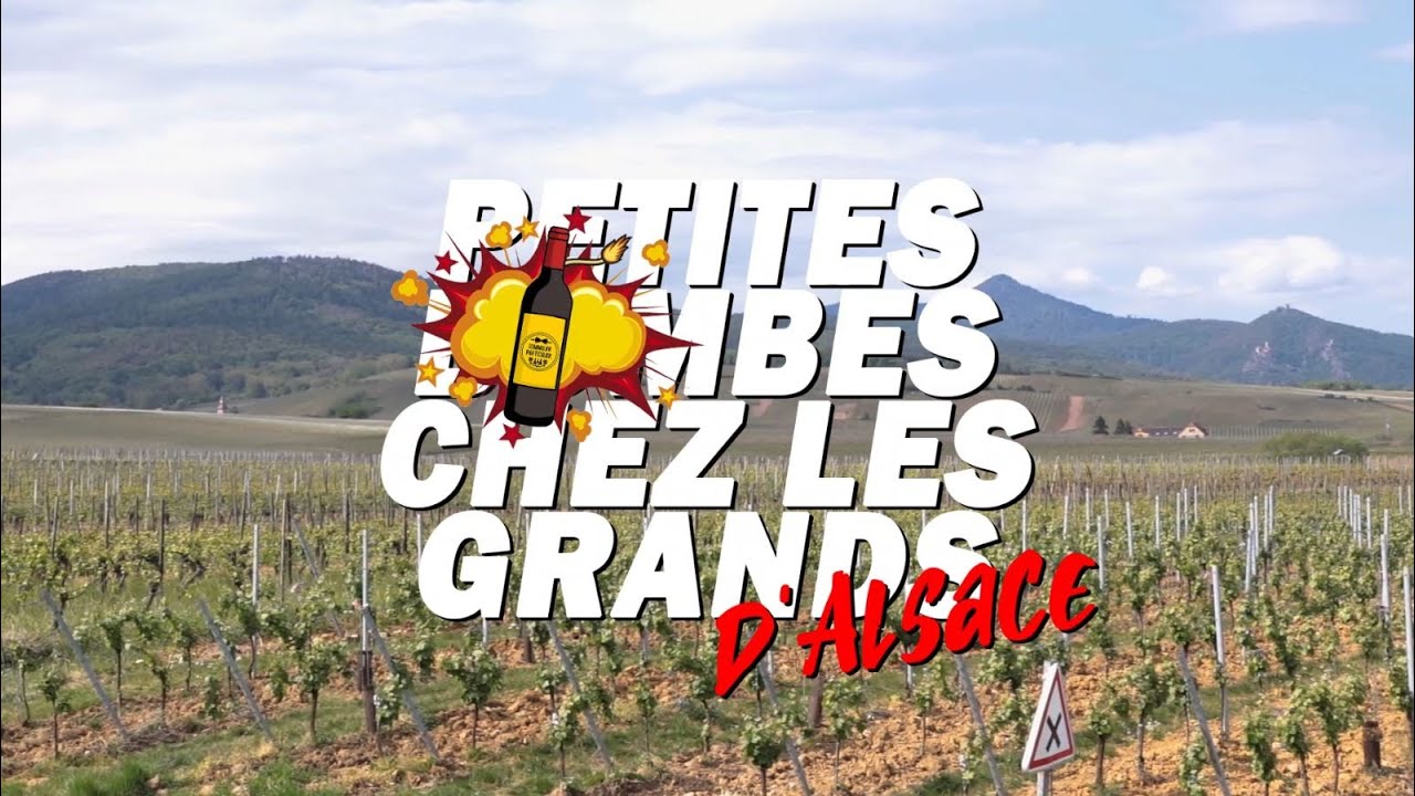 💣🍷 PETITES BOMBES CHEZ LES GRANDS D'ALSACE