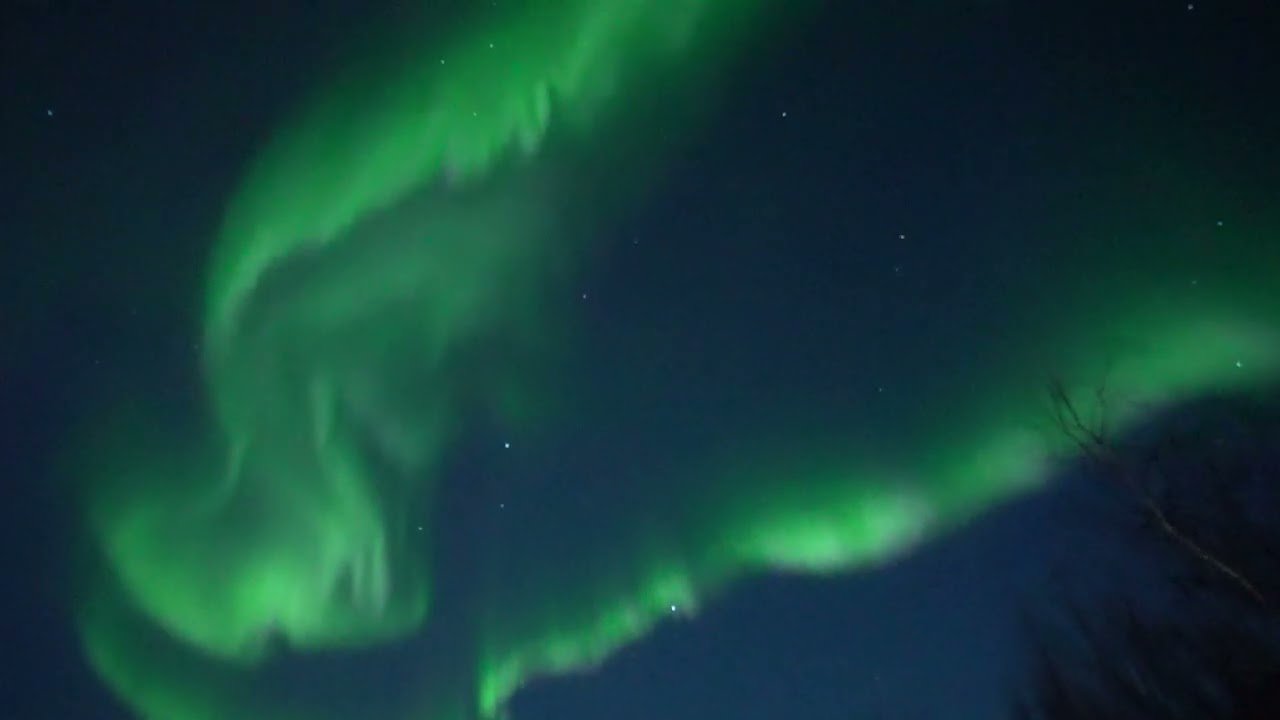 A short explanation of Northern Light. 