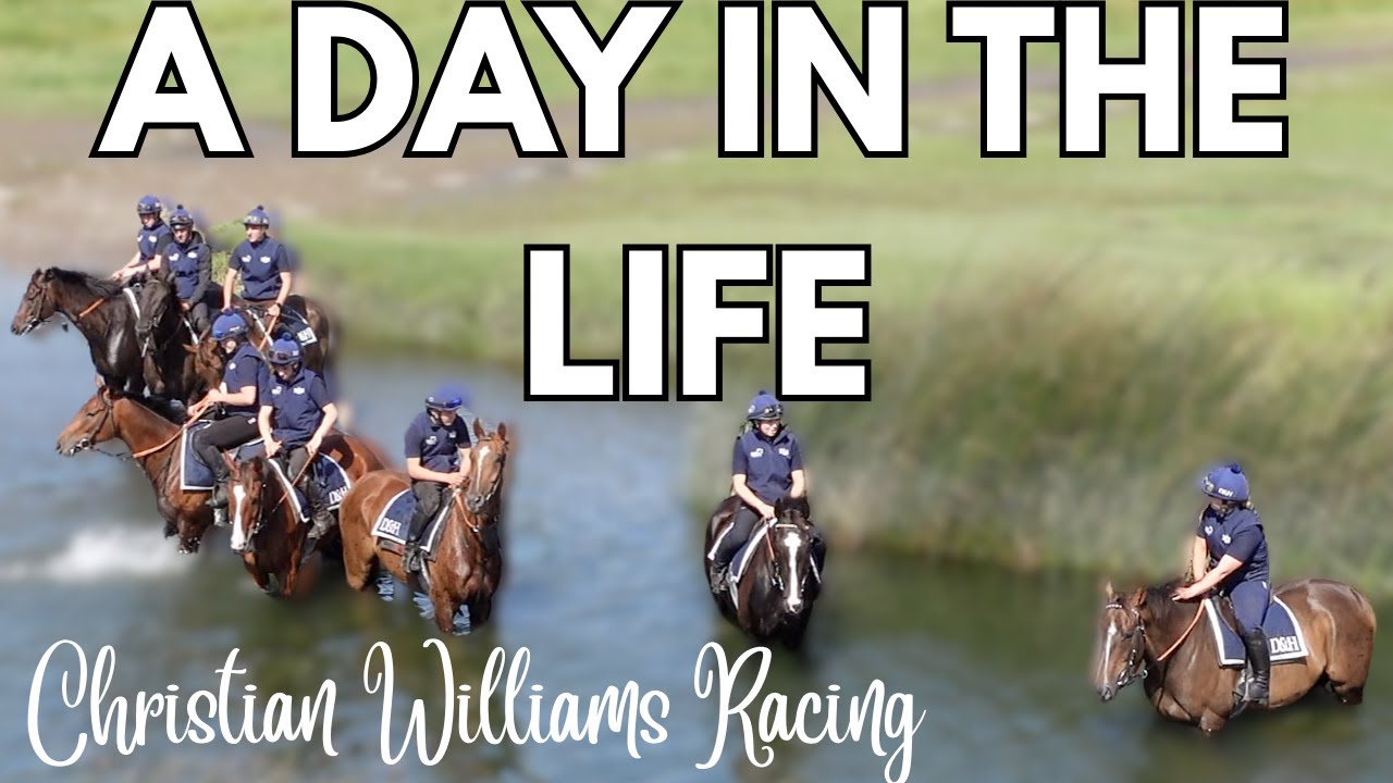 VISIT HORSE RACING TRAINER CHRISTIAN WILLIAMS | How we choose ex racehorses for eventing
