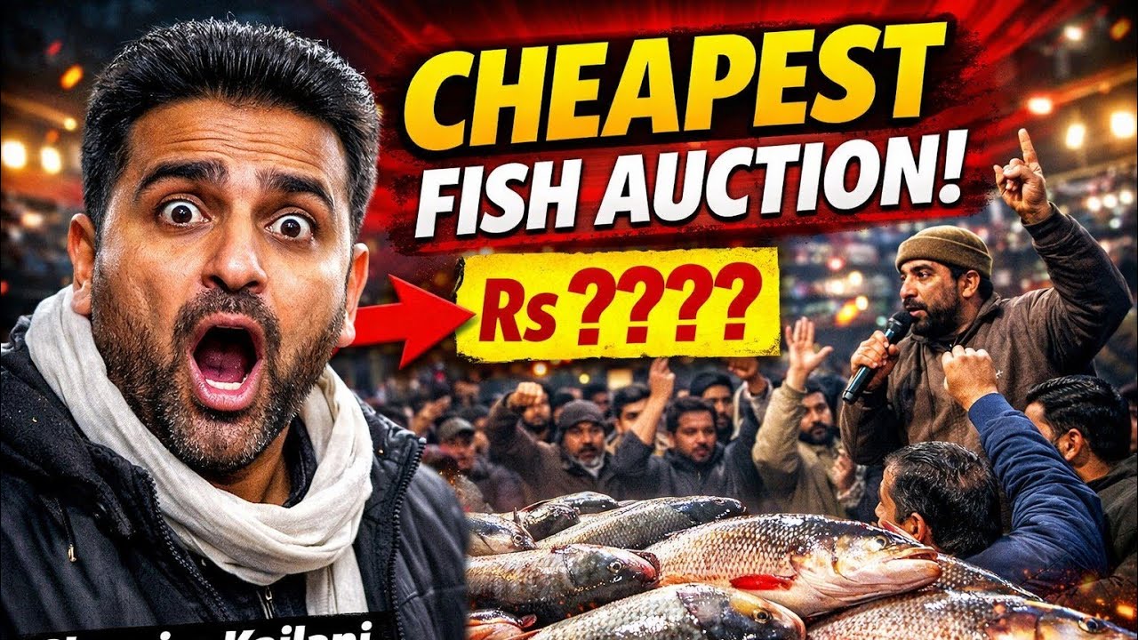 Cheapest Fish Market Live Auction