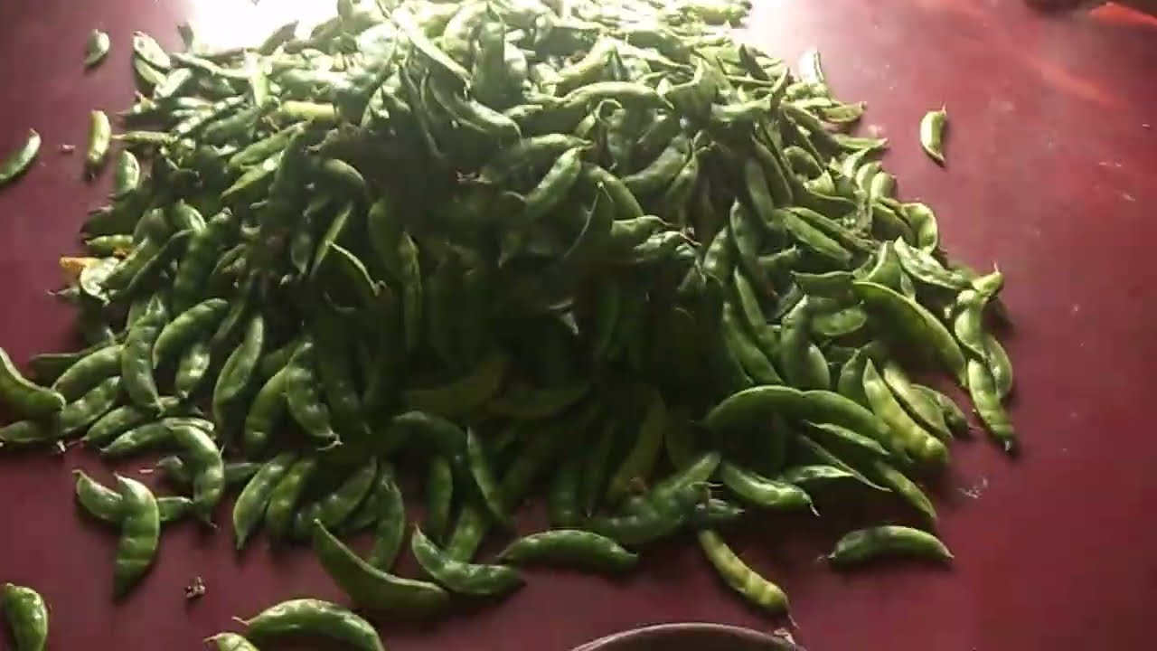 ক্ষেতের  তরকারি বেচা টাকায় মাছ এনে সে মাছ দিয়ে ক্ষেতের সবজি দিয়ে রান্না করলাম@sornasahinvlogs